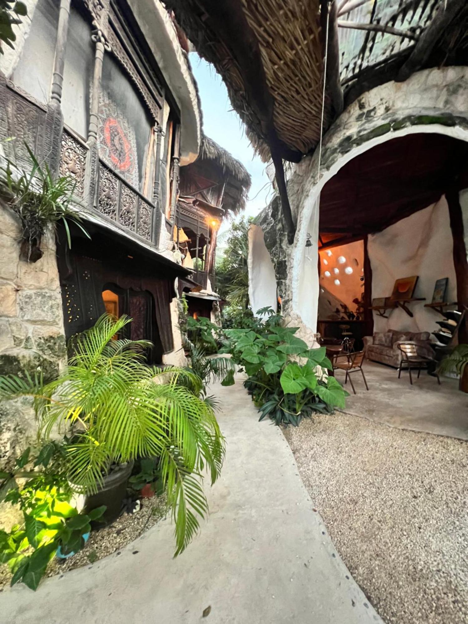 Bed and Breakfast La Quinta Orquidea Puerto Morelos Zewnętrze zdjęcie