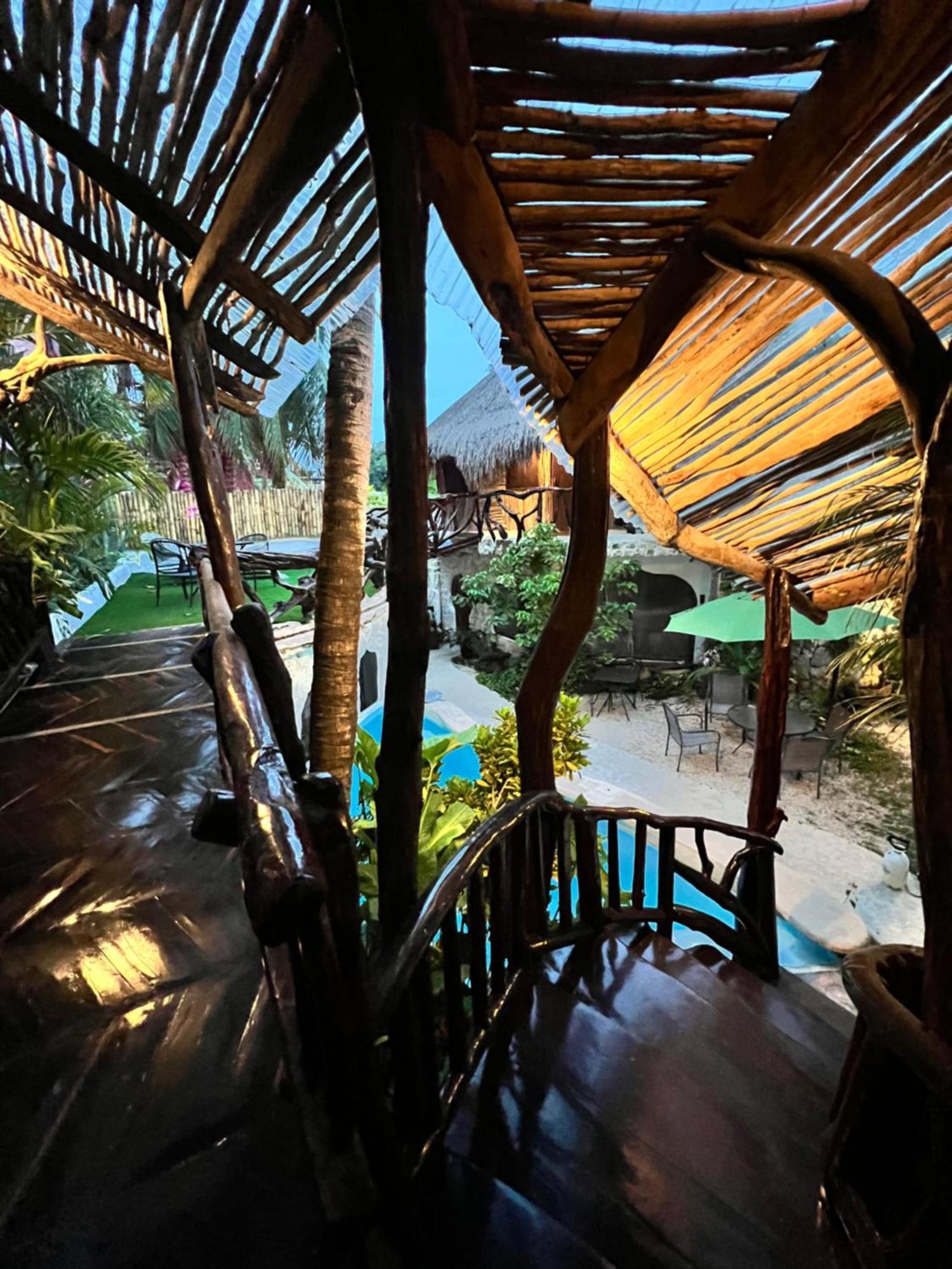 Bed and Breakfast La Quinta Orquidea Puerto Morelos Zewnętrze zdjęcie