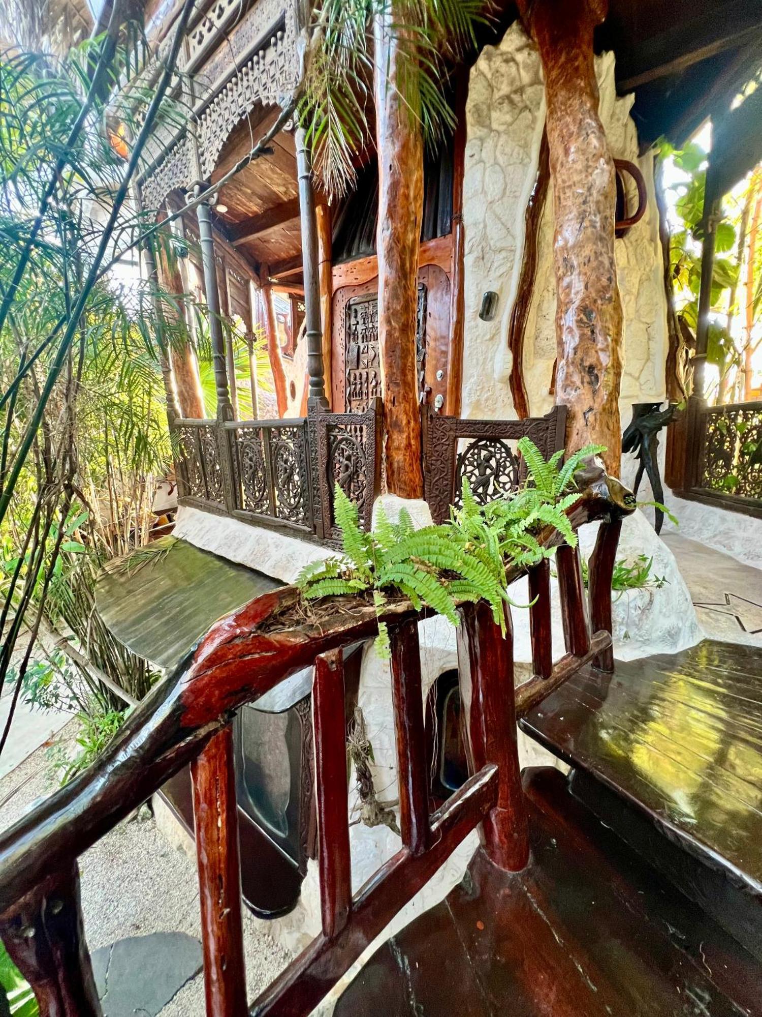 Bed and Breakfast La Quinta Orquidea Puerto Morelos Zewnętrze zdjęcie
