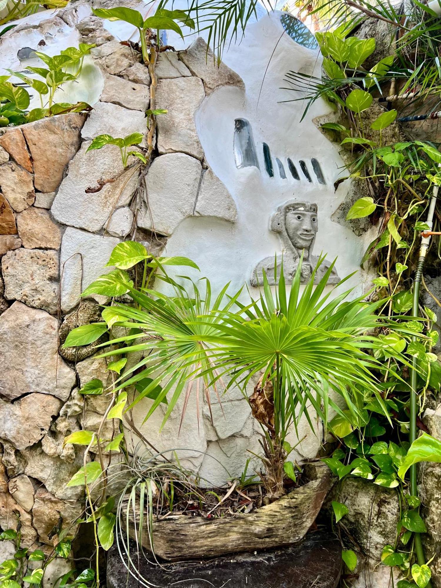 Bed and Breakfast La Quinta Orquidea Puerto Morelos Zewnętrze zdjęcie