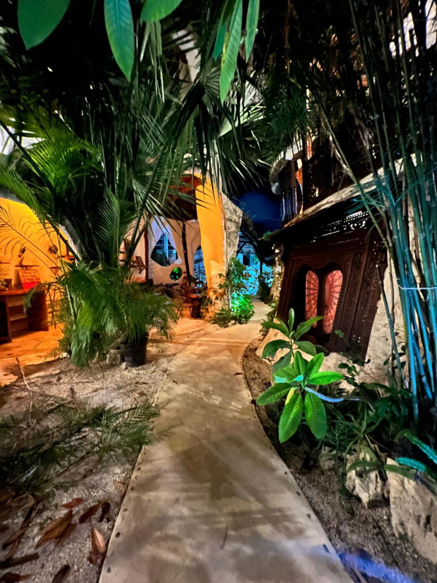 Bed and Breakfast La Quinta Orquidea Puerto Morelos Zewnętrze zdjęcie