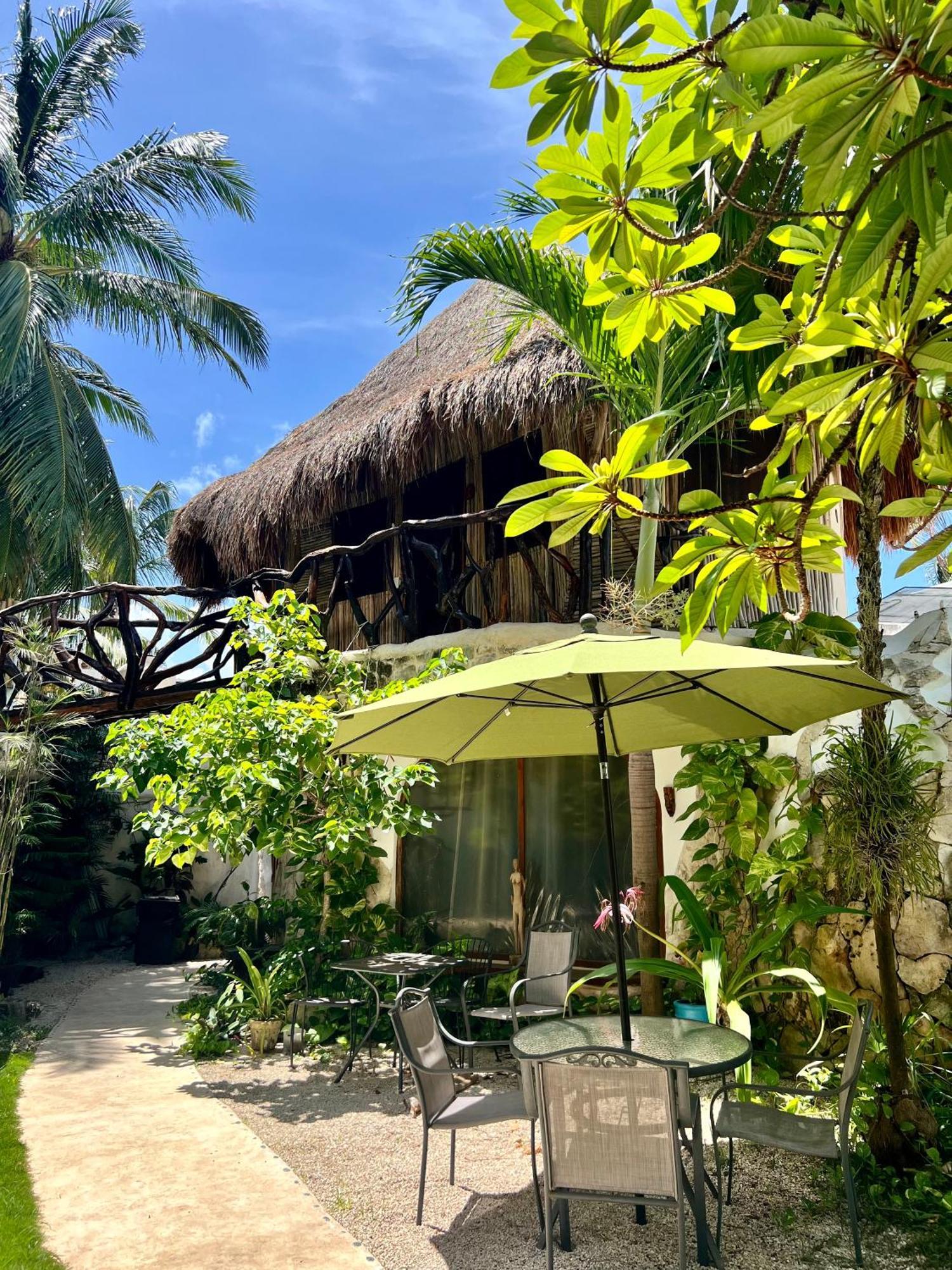 Bed and Breakfast La Quinta Orquidea Puerto Morelos Zewnętrze zdjęcie
