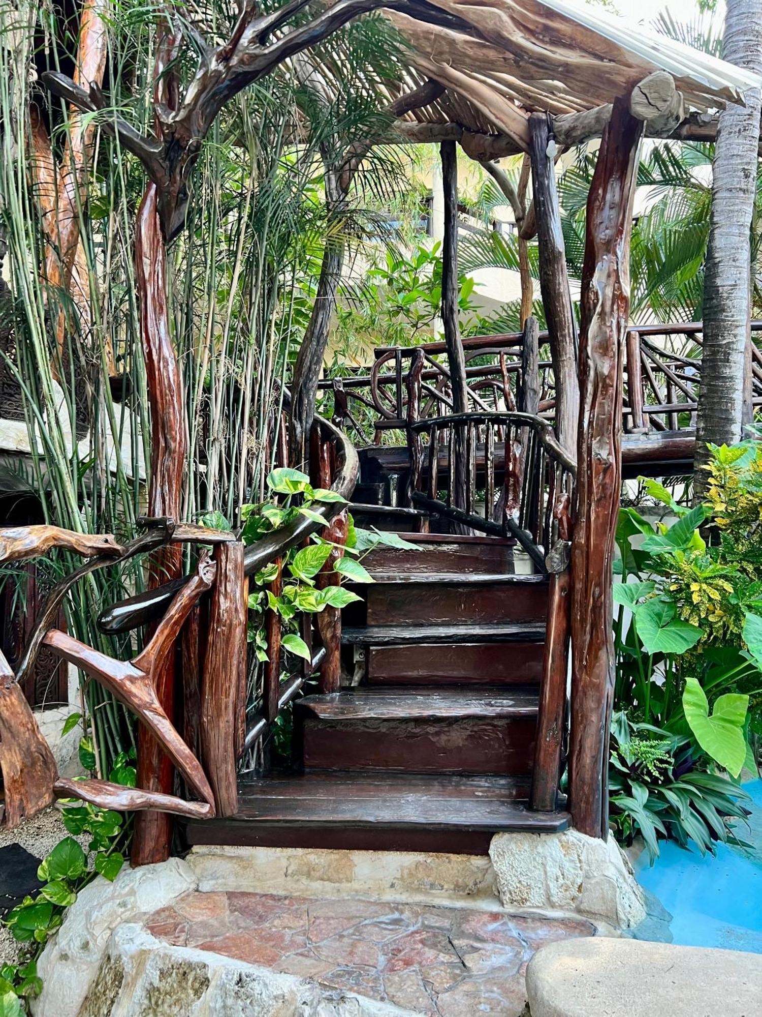 Bed and Breakfast La Quinta Orquidea Puerto Morelos Zewnętrze zdjęcie
