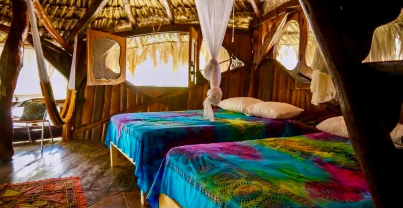 Bed and Breakfast La Quinta Orquidea Puerto Morelos Zewnętrze zdjęcie