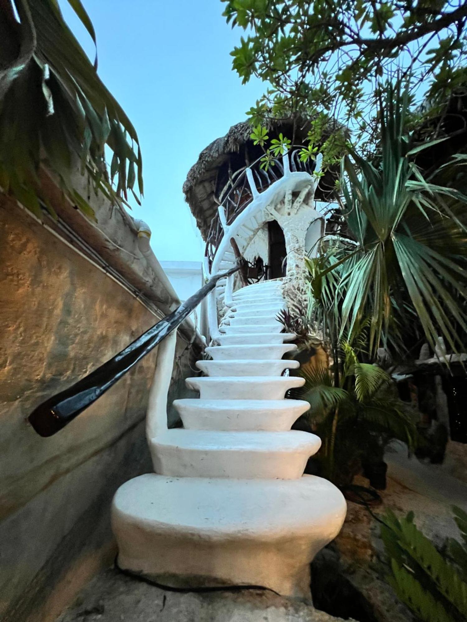 Bed and Breakfast La Quinta Orquidea Puerto Morelos Zewnętrze zdjęcie