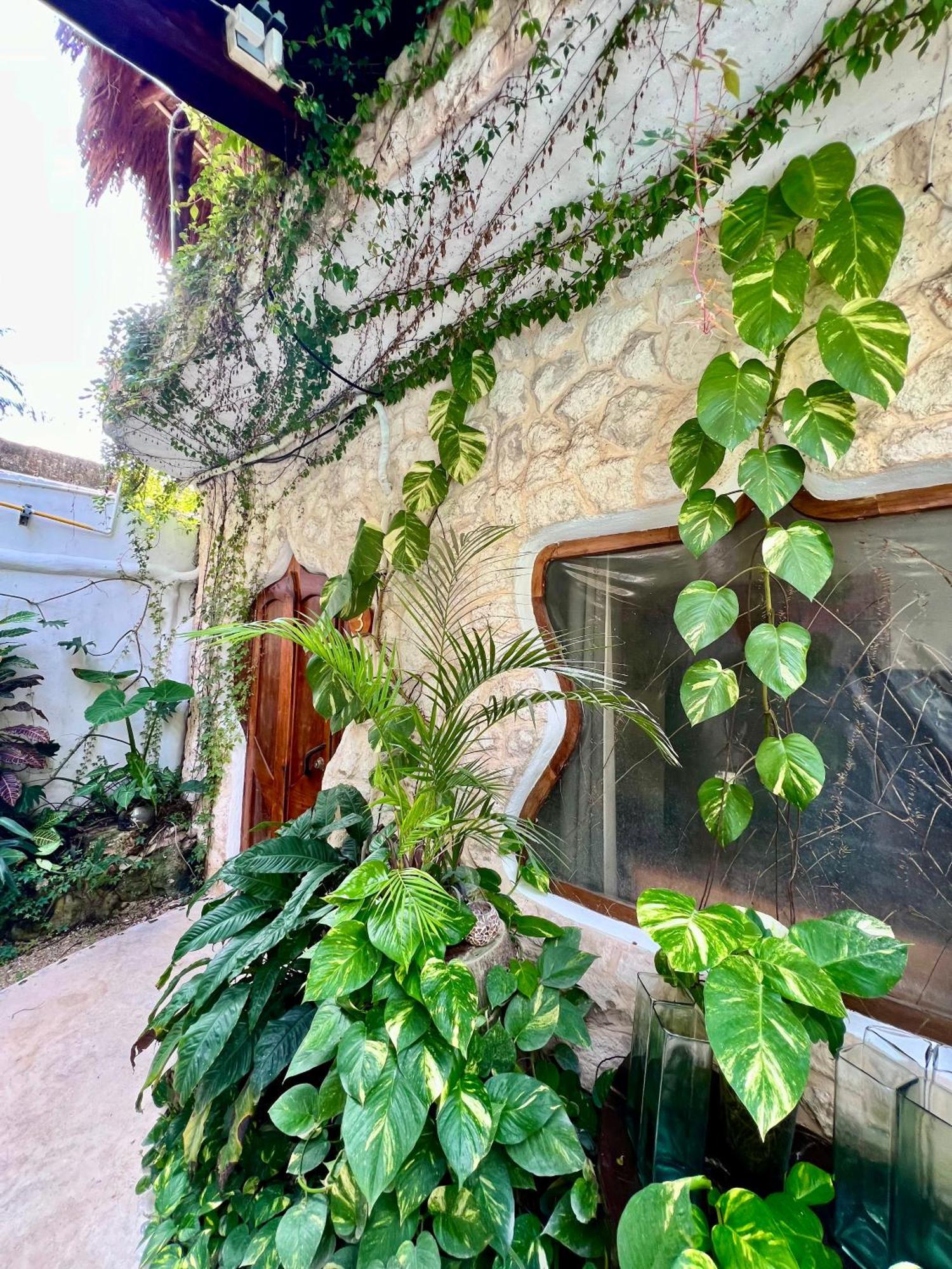Bed and Breakfast La Quinta Orquidea Puerto Morelos Zewnętrze zdjęcie