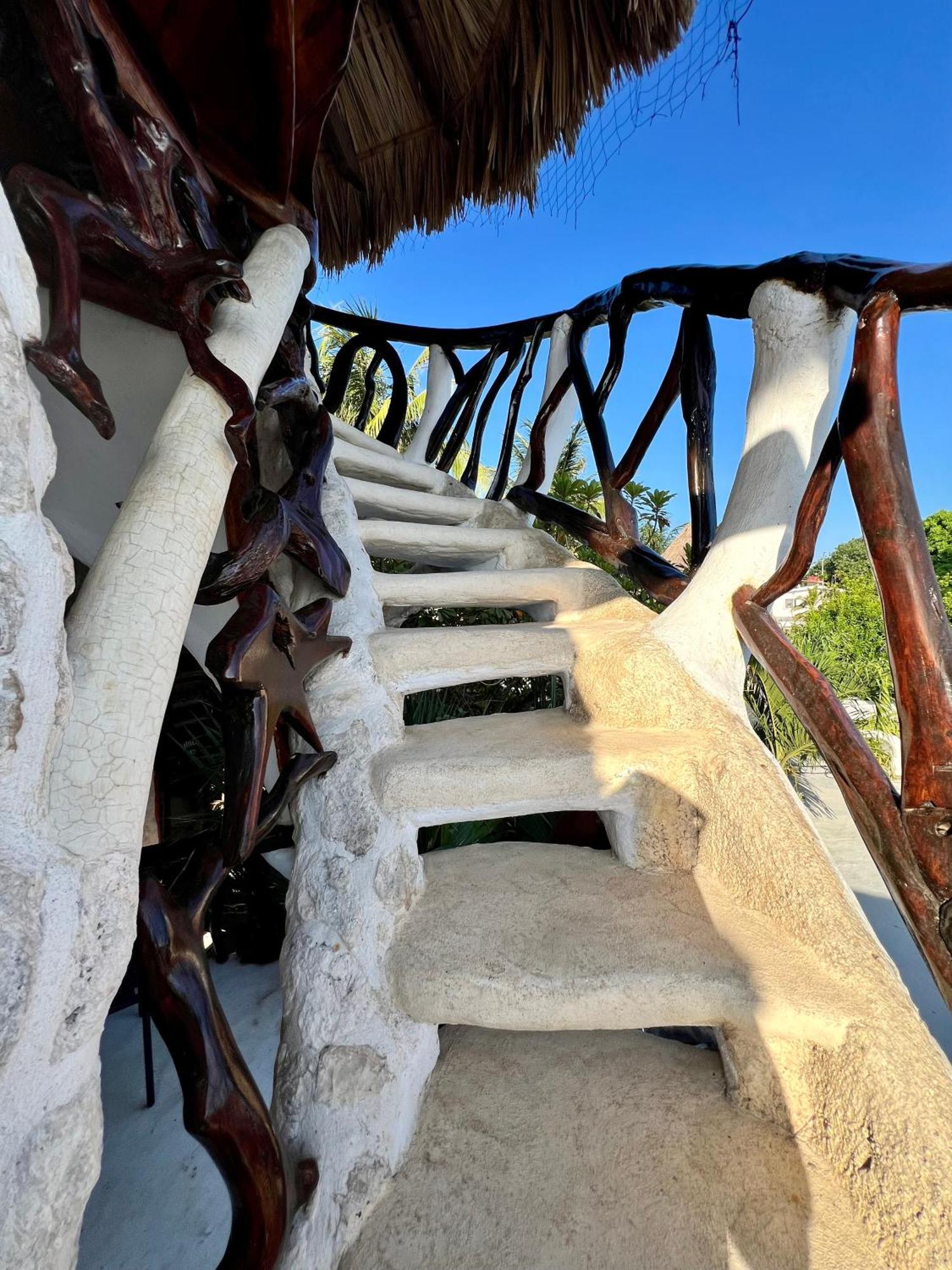 Bed and Breakfast La Quinta Orquidea Puerto Morelos Zewnętrze zdjęcie