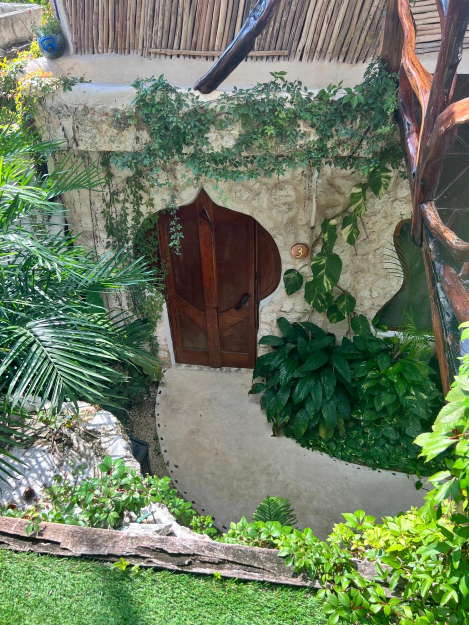 Bed and Breakfast La Quinta Orquidea Puerto Morelos Zewnętrze zdjęcie