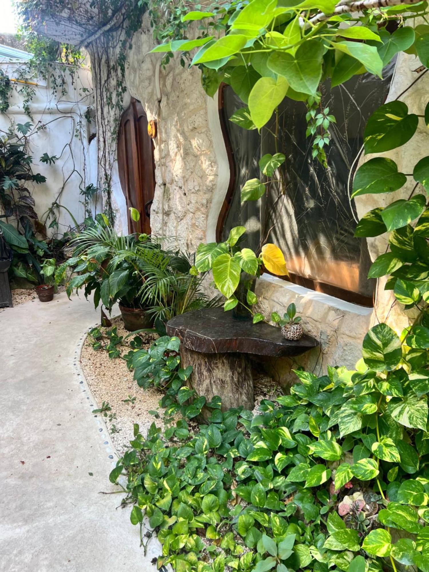 Bed and Breakfast La Quinta Orquidea Puerto Morelos Zewnętrze zdjęcie